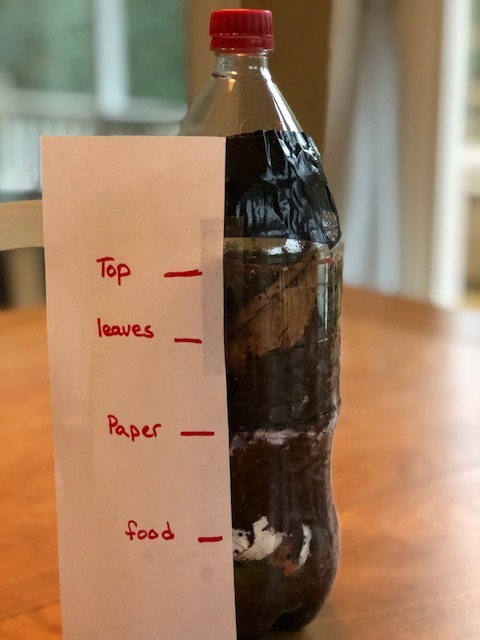 paper with layer markings taped to plastic bottle full of soil