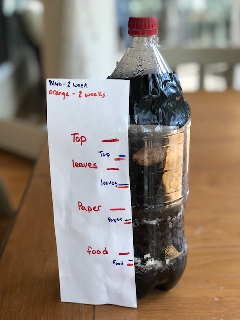 plastic bottle full of soil with experiment tracking for week two taped to side