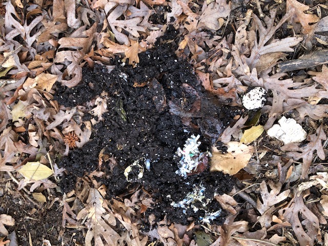 decomposed organic matter