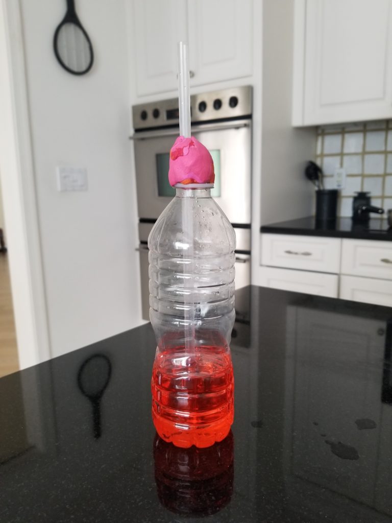 How to Make a Bottle Thermometer, Full-Time Kid